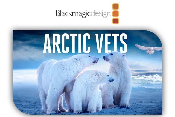 0-arctic-vets